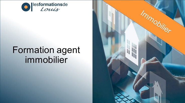 formation agent immobilier loi Alur