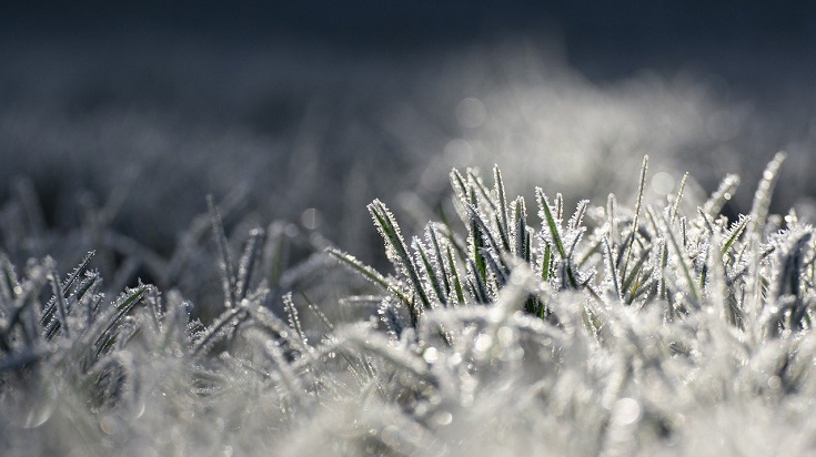 Surveiller la météo pour le gel