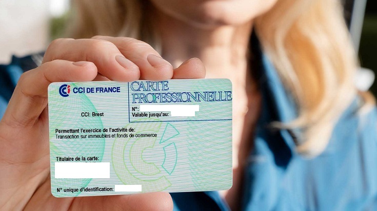 les différentes types de cartes pro en immobilier