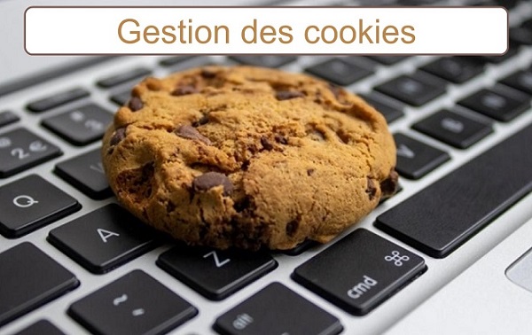 Gestion cookies plateforme internet